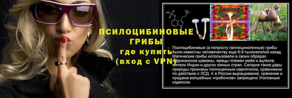 ПСИЛОЦИБИНОВЫЕ ГРИБЫ Горняк