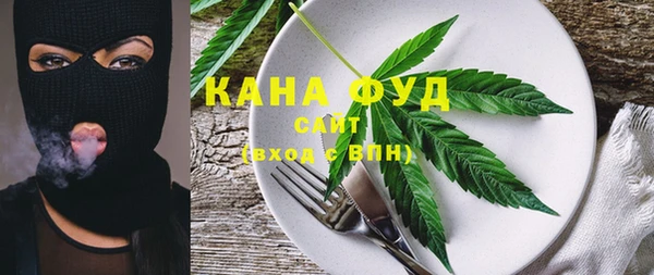 ПСИЛОЦИБИНОВЫЕ ГРИБЫ Горняк
