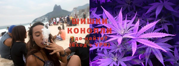 ПСИЛОЦИБИНОВЫЕ ГРИБЫ Горняк