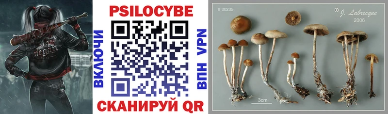 darknet какой сайт  где можно купить наркотик  Дзержинский  Псилоцибиновые грибы ЛСД 